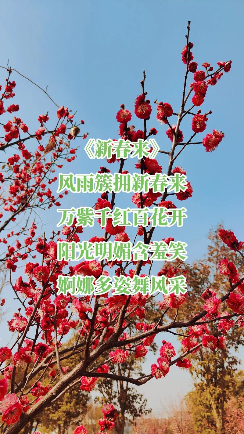 傲霜斗雪疫情,傲霜斗寒是什么意思?-第7张图片 傲霜斗雪疫情,傲霜斗寒是什么意思?-第7张图片
