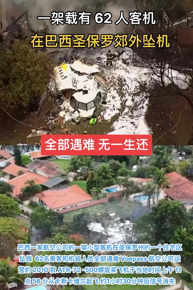 巴西疫情死者处理(巴西疫情死亡最新数据)-第3张图片 巴西疫情死者处理(巴西疫情死亡最新数据)-第3张图片
