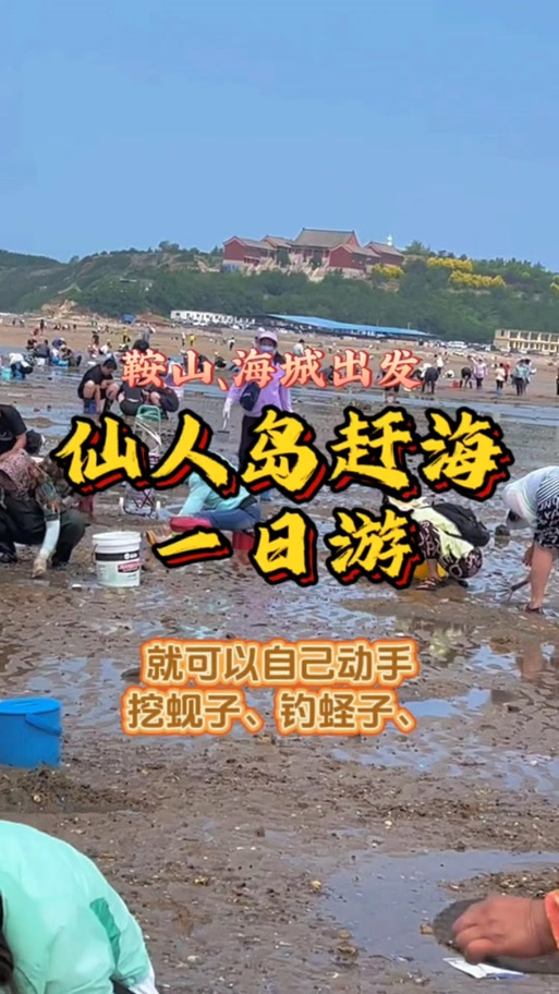 鞍山疫情通报,鞍山疫情最新数据-第5张图片 鞍山疫情通报,鞍山疫情最新数据-第5张图片