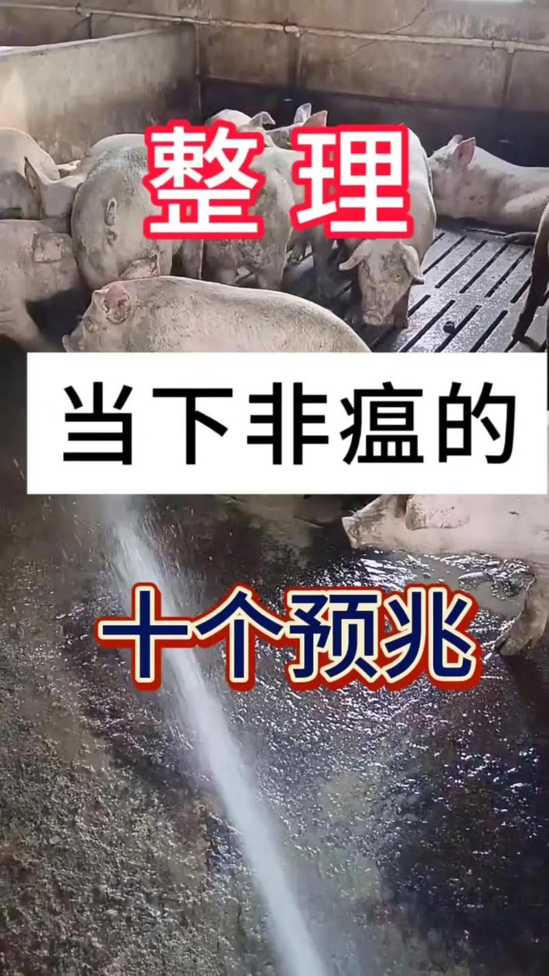 2017年生猪疫情,2017年全国生猪存栏-第5张图片 2017年生猪疫情,2017年全国生猪存栏-第5张图片