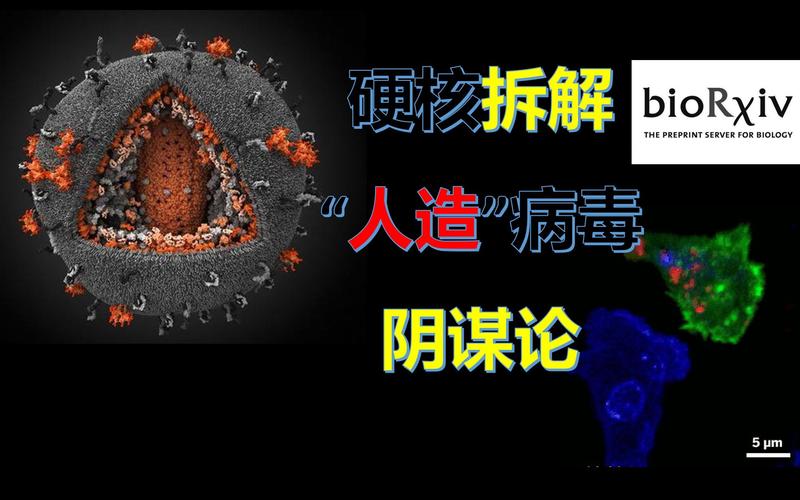 疫情污名化,疫情污名化中国的言论作文-第4张图片 疫情污名化,疫情污名化中国的言论作文-第4张图片