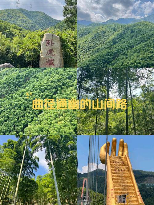 安吉疫情图,安吉新冠状疫情最新进展-第3张图片 安吉疫情图,安吉新冠状疫情最新进展-第3张图片
