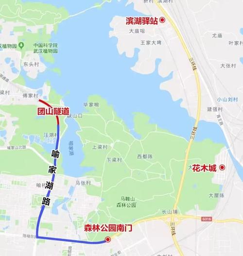 东湖绿道限行(东湖绿道限行吗)-第3张图片