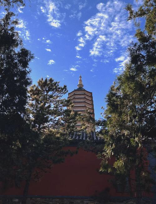 【安吉今日疫情,安吉最新疫情防控公告】-第3张图片 【安吉今日疫情,安吉最新疫情防控公告】-第3张图片