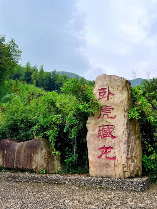【安吉今日疫情,安吉最新疫情防控公告】-第6张图片 【安吉今日疫情,安吉最新疫情防控公告】-第6张图片