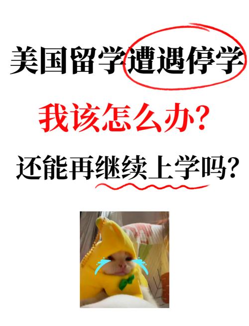 【澳洲疫情停学,澳洲大学停课】-第1张图片 【澳洲疫情停学,澳洲大学停课】-第1张图片
