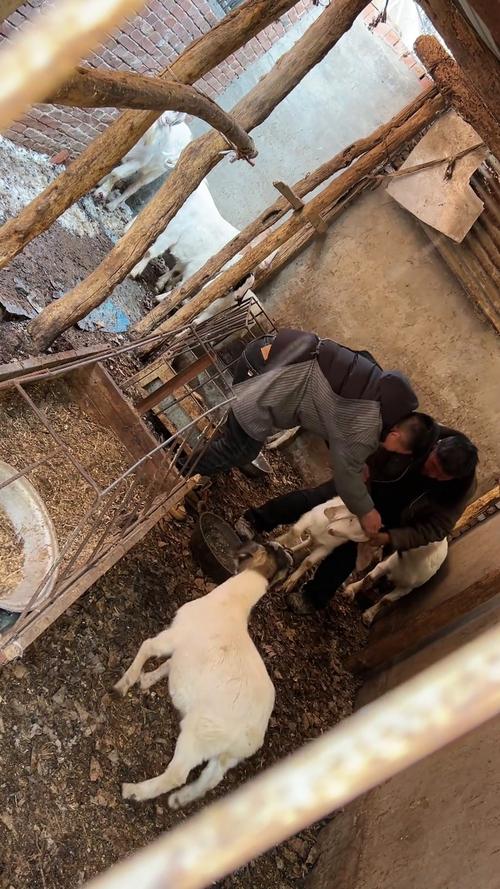 安义疫情情况/安义疫情情况如何-第6张图片 安义疫情情况/安义疫情情况如何-第6张图片