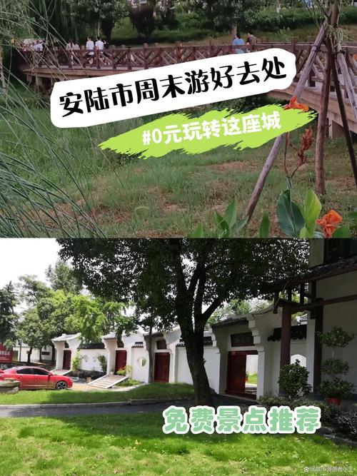 【安陆疫情死亡,安陆新增病例】-第5张图片 【安陆疫情死亡,安陆新增病例】-第5张图片