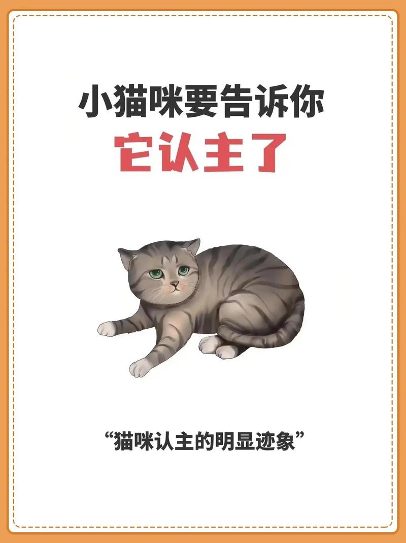 【澳洲疫情猫,澳大利亚猫患】-第1张图片 【澳洲疫情猫,澳大利亚猫患】-第1张图片