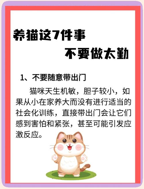 【澳洲疫情猫,澳大利亚猫患】-第3张图片 【澳洲疫情猫,澳大利亚猫患】-第3张图片