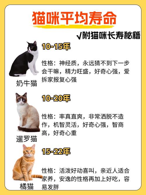 【澳洲疫情猫,澳大利亚猫患】-第5张图片 【澳洲疫情猫,澳大利亚猫患】-第5张图片
