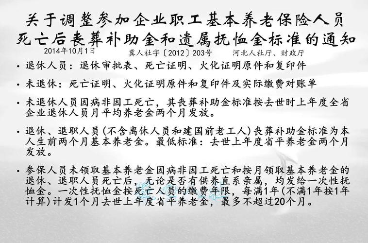 安葬疫情死者-疫情丧葬-第1张图片 安葬疫情死者-疫情丧葬-第1张图片