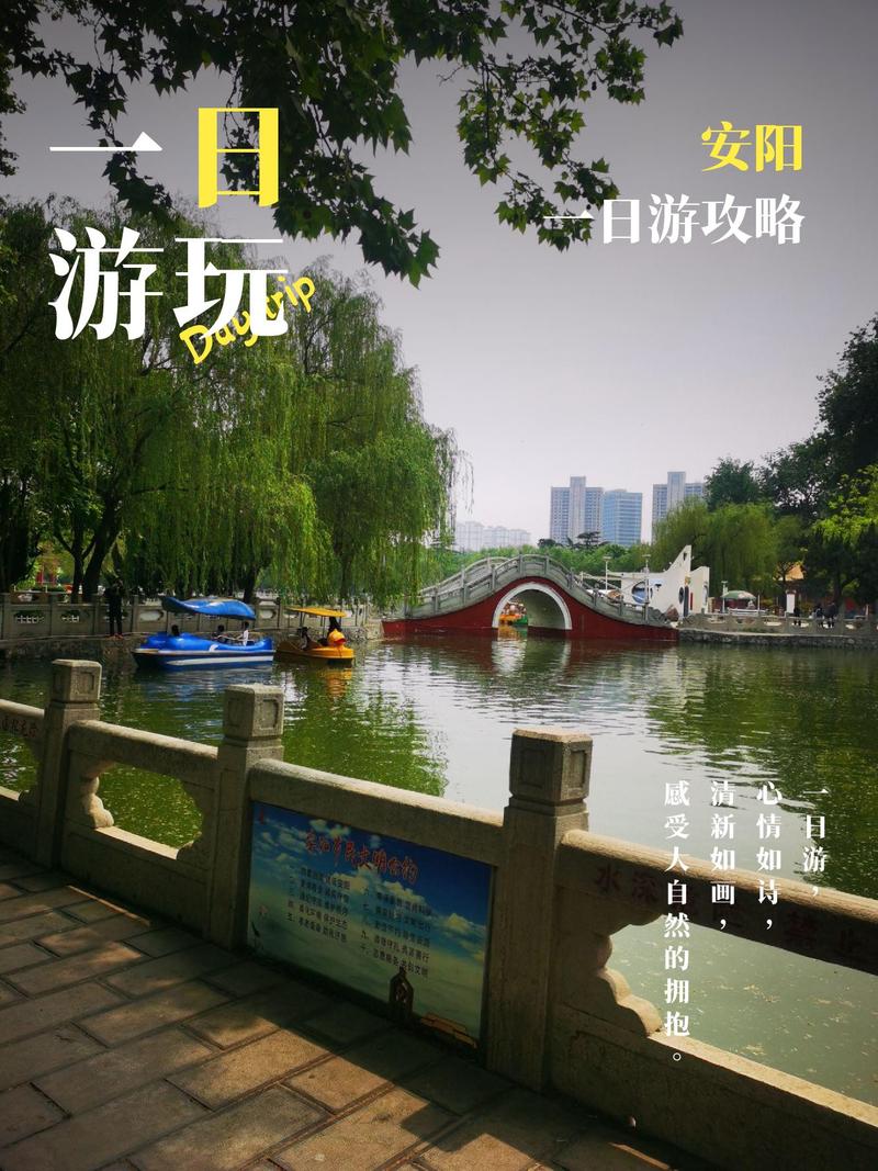 安阳疫情新闻/安阳疫情最新发布-第5张图片 安阳疫情新闻/安阳疫情最新发布-第5张图片