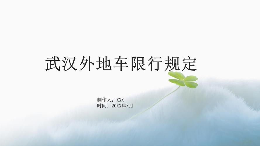武汉限行罚款多少/武汉限行车牌号规定罚款-第5张图片 武汉限行罚款多少/武汉限行车牌号规定罚款-第5张图片