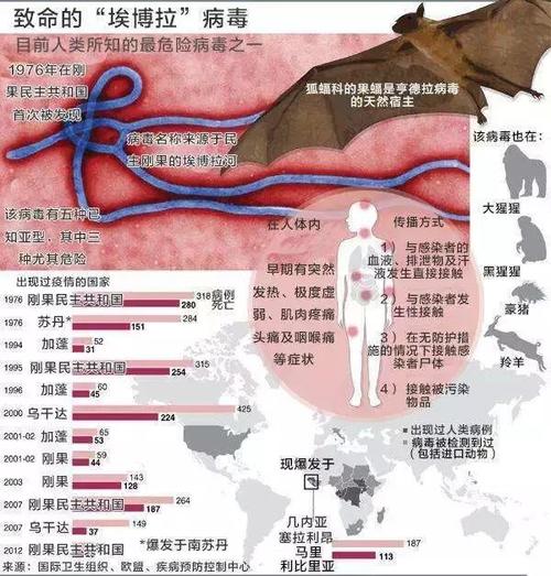 【2014埃博拉疫情,2014埃博拉疫情28万人】-第5张图片 【2014埃博拉疫情,2014埃博拉疫情28万人】-第5张图片