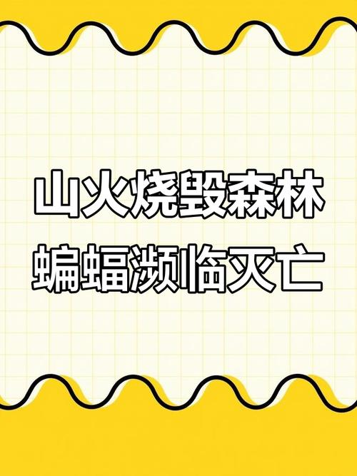 澳洲疫情今天确-澳洲疫情实时更新-第4张图片 澳洲疫情今天确-澳洲疫情实时更新-第4张图片