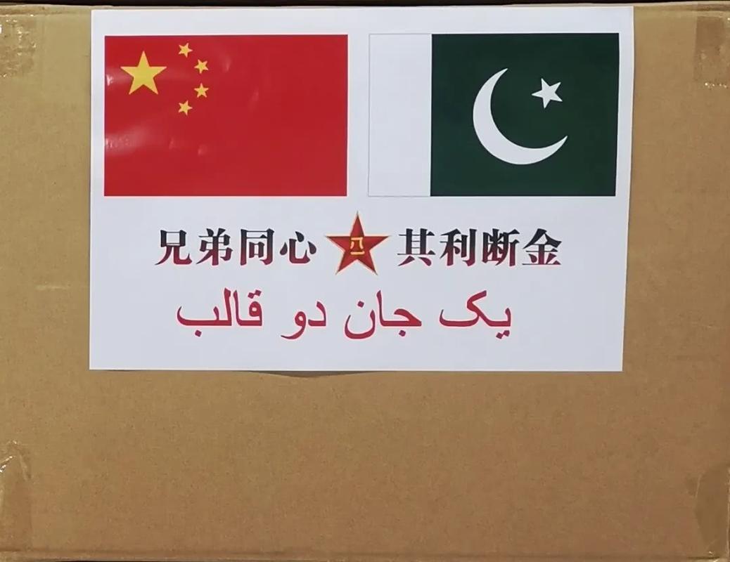巴铁疫情如何(巴铁今日疫情)-第4张图片