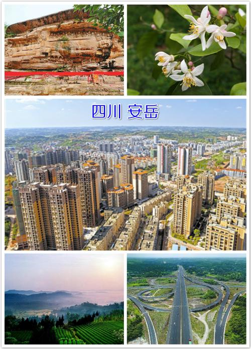 【安岳兴隆疫情,安岳兴隆2021规划】-第3张图片 【安岳兴隆疫情,安岳兴隆2021规划】-第3张图片