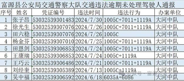 限行违章代码/机动车限行代码-第4张图片