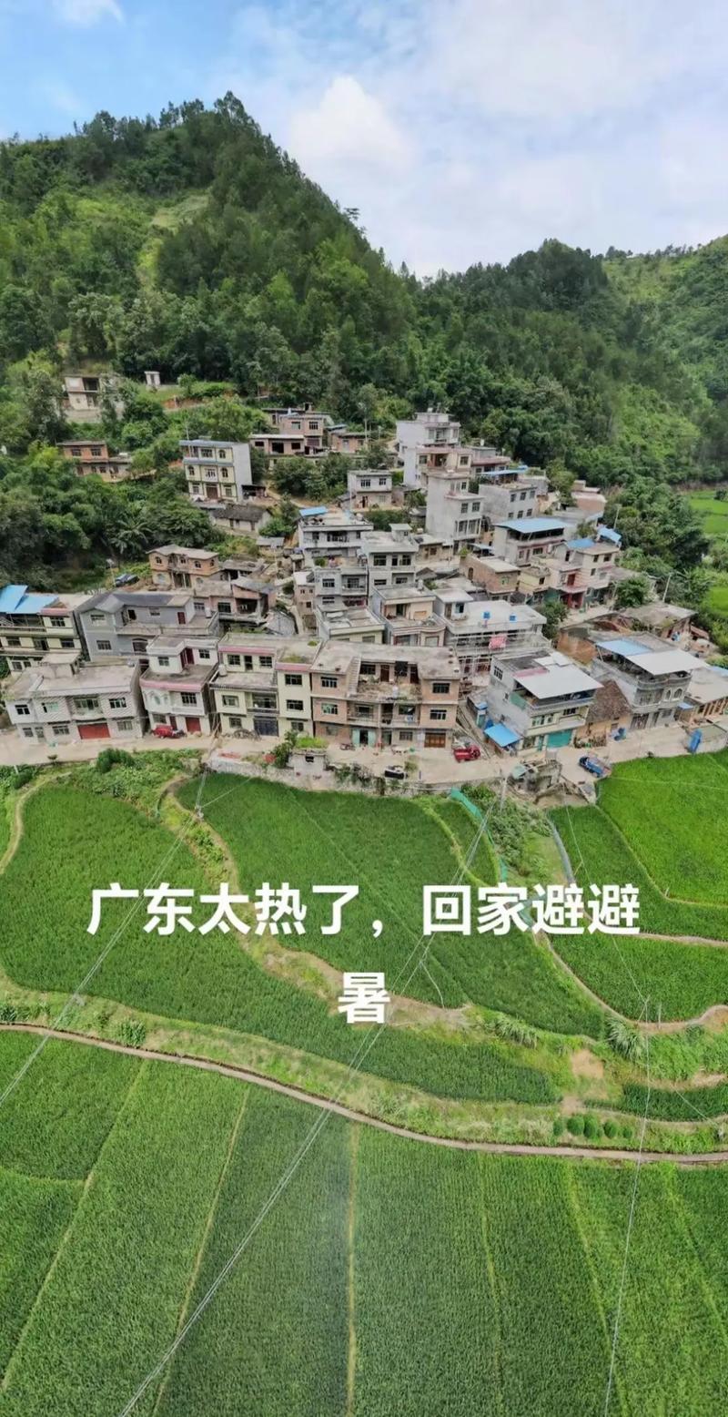 安顺紫云疫情/贵州省安顺市紫云县疫情-第3张图片 安顺紫云疫情/贵州省安顺市紫云县疫情-第3张图片