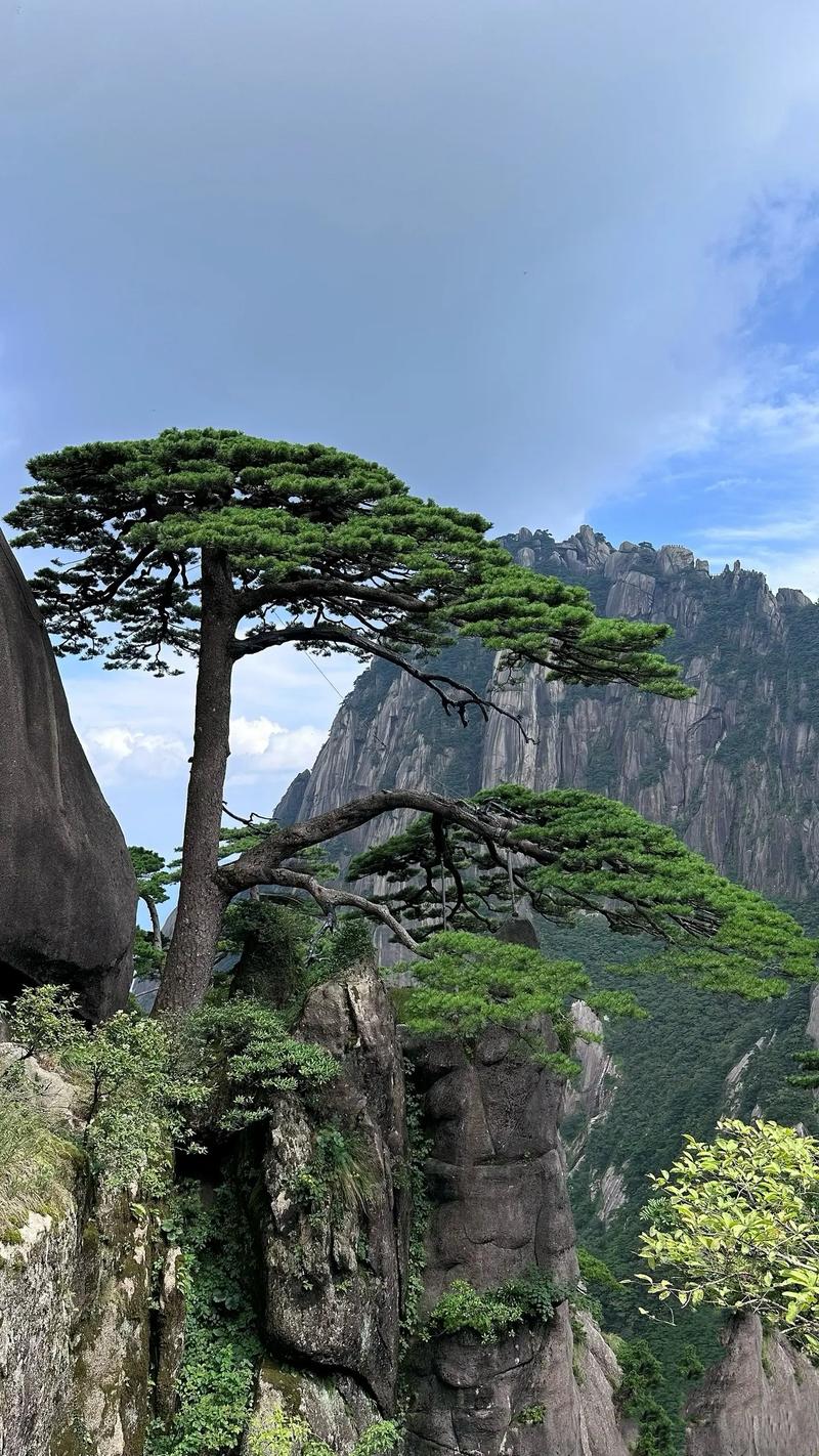安徽疫情黄山/安徽疫情黄山有疫情吗-第3张图片 安徽疫情黄山/安徽疫情黄山有疫情吗-第3张图片