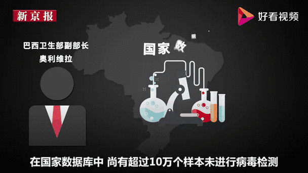 巴西近来疫情(巴西疫情最新数据消息)-第2张图片 巴西近来疫情(巴西疫情最新数据消息)-第2张图片