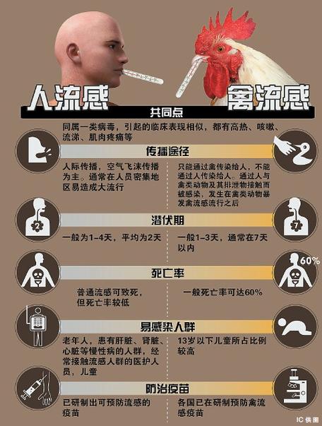 2017全国禽流感疫情-禽流感2017年最新动态-第6张图片 2017全国禽流感疫情-禽流感2017年最新动态-第6张图片