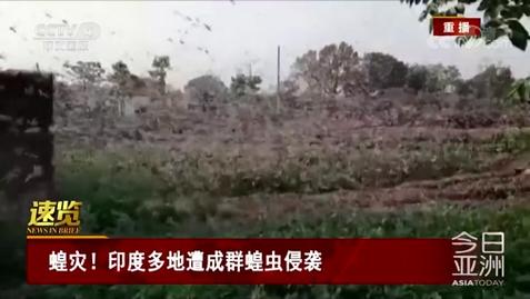 【印度疫情,印度一级印度疫情】-第4张图片 【印度疫情,印度一级印度疫情】-第4张图片
