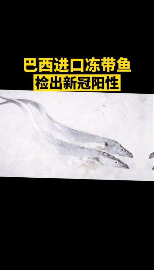 巴西疫情货物-巴西疫情加重-第5张图片 巴西疫情货物-巴西疫情加重-第5张图片
