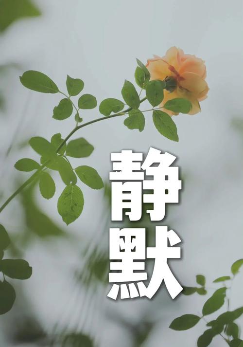 安阳肺炎疫情(安阳,疫情)-第4张图片 安阳肺炎疫情(安阳,疫情)-第4张图片