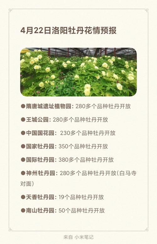 洛阳花会车辆限行/洛阳花会车辆限行规定-第8张图片 洛阳花会车辆限行/洛阳花会车辆限行规定-第8张图片