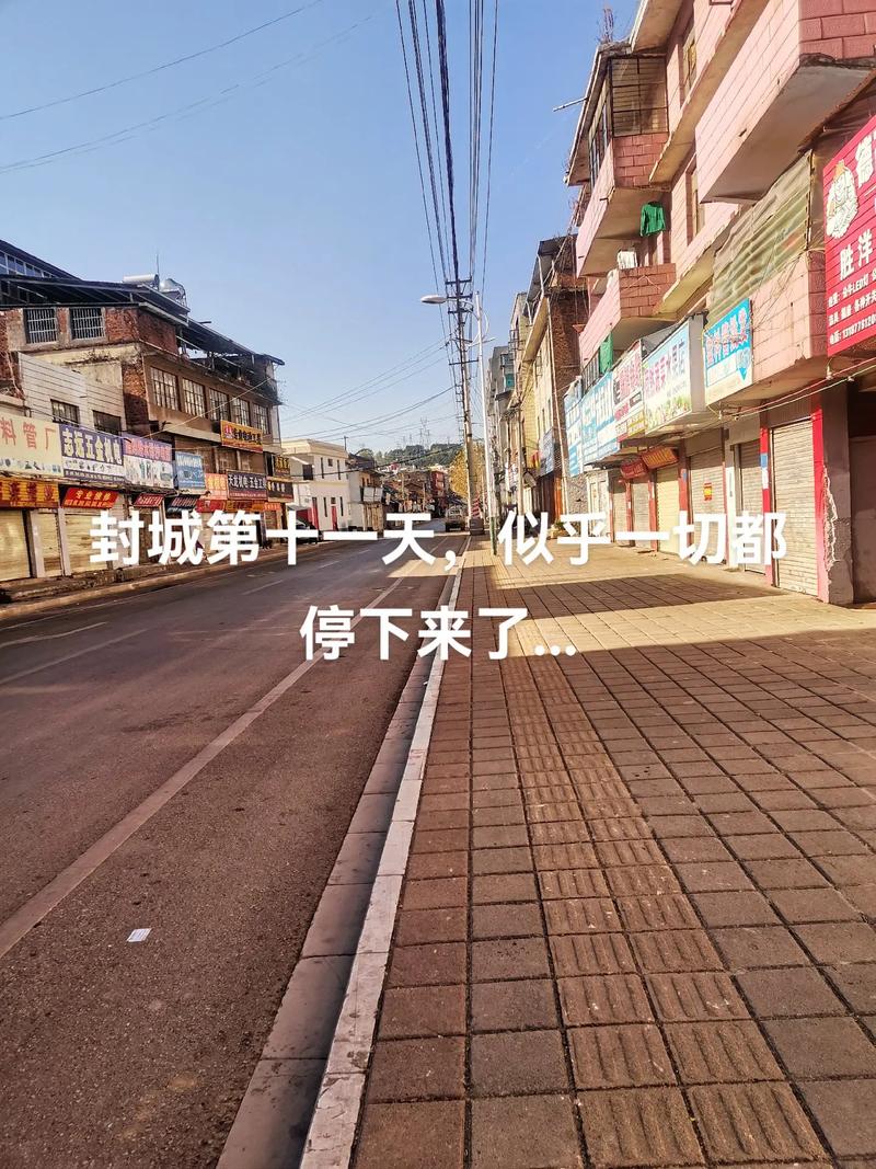 【熬过这次疫情图片,熬过了这次疫情的说说】-第2张图片 【熬过这次疫情图片,熬过了这次疫情的说说】-第2张图片