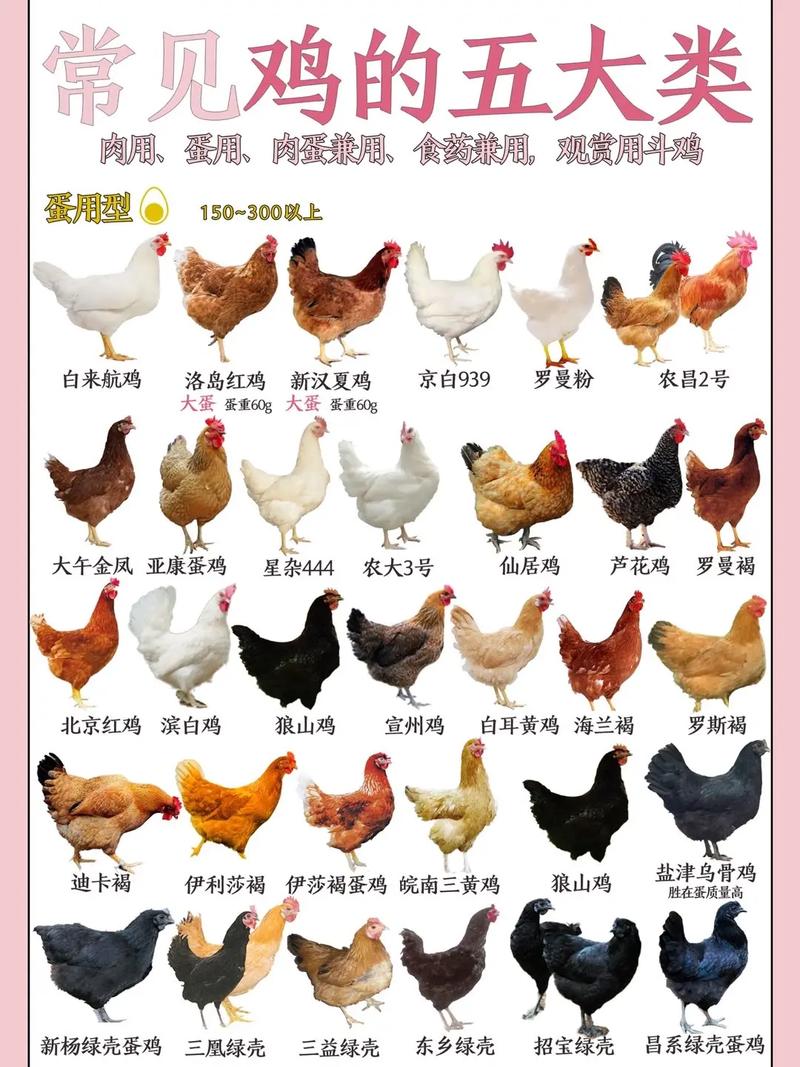 【巴西豆粕疫情,巴西疫情对大豆出口的影响】-第4张图片 【巴西豆粕疫情,巴西疫情对大豆出口的影响】-第4张图片