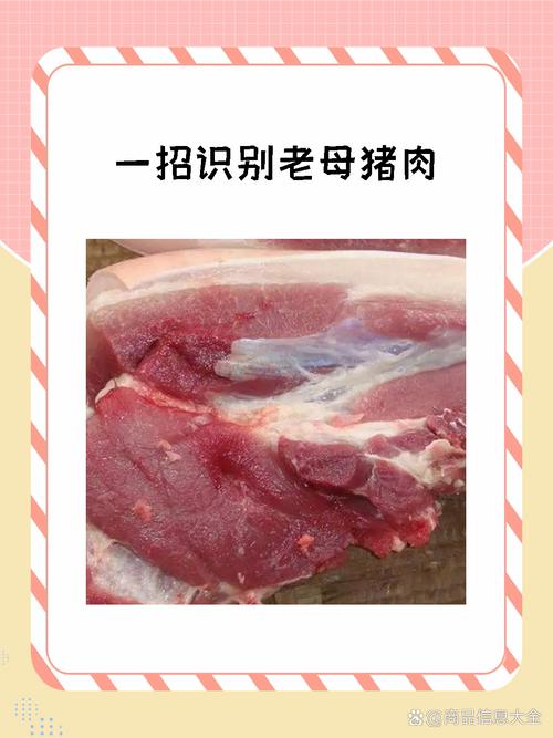 鞍山猪疫情-鞍山疫情官方-第1张图片 鞍山猪疫情-鞍山疫情官方-第1张图片