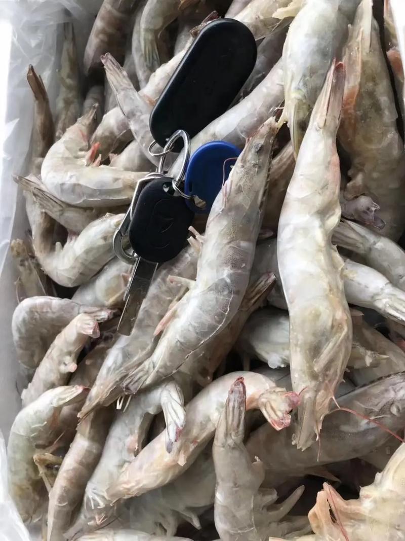 巴西疫情肉类加工(巴西疫情肉类加工情况)-第5张图片 巴西疫情肉类加工(巴西疫情肉类加工情况)-第5张图片