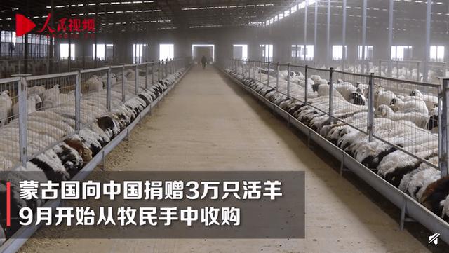 巴西疫情肉类加工(巴西疫情肉类加工情况)-第8张图片 巴西疫情肉类加工(巴西疫情肉类加工情况)-第8张图片