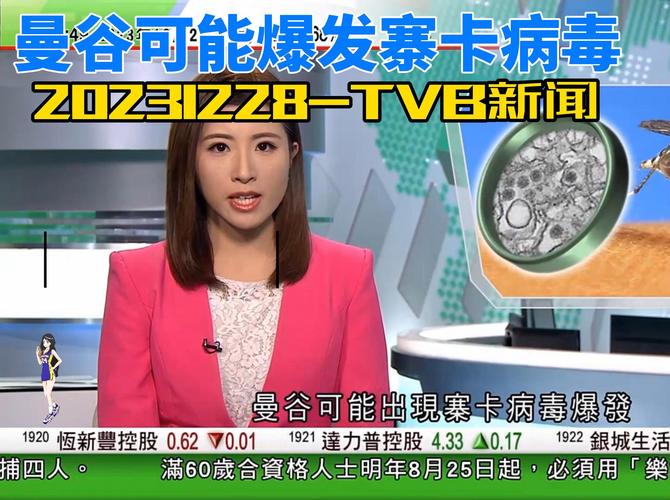 巴西疫情蔓延/巴西疫情持续-第7张图片 巴西疫情蔓延/巴西疫情持续-第7张图片
