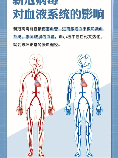 疫情生活(疫情生活作文)-第4张图片 疫情生活(疫情生活作文)-第4张图片