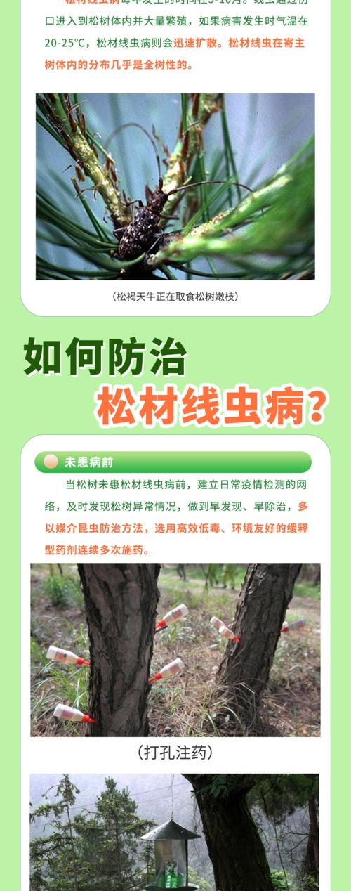 松材线虫病疫情，松材线虫病疫情监测普查中取样采取的方法主要包括