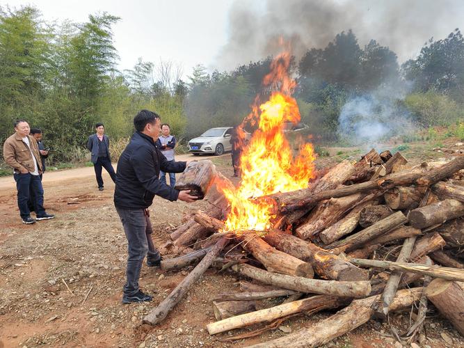 松材线虫病疫情,松材线虫病疫情监测普查中取样采取的方法主要包括-第4张图片 松材线虫病疫情,松材线虫病疫情监测普查中取样采取的方法主要包括-第4张图片