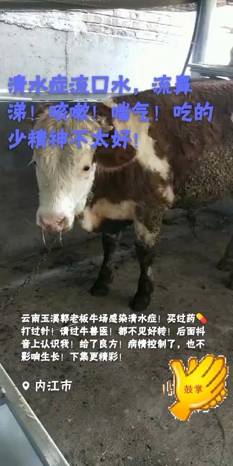 口蹄疫疫情/口蹄疫疫情2024最新消息查询-第2张图片 口蹄疫疫情/口蹄疫疫情2024最新消息查询-第2张图片
