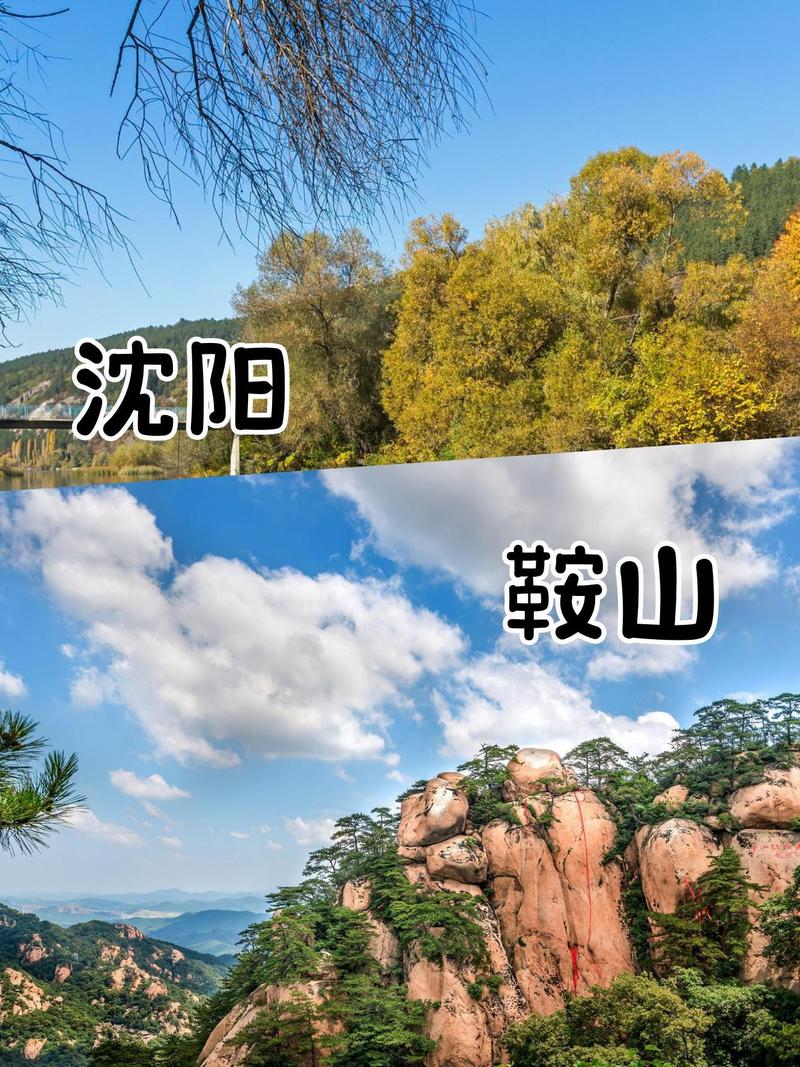 鞍山疫情最新(鞍山疫情最新消息今天封城了)-第5张图片 鞍山疫情最新(鞍山疫情最新消息今天封城了)-第5张图片