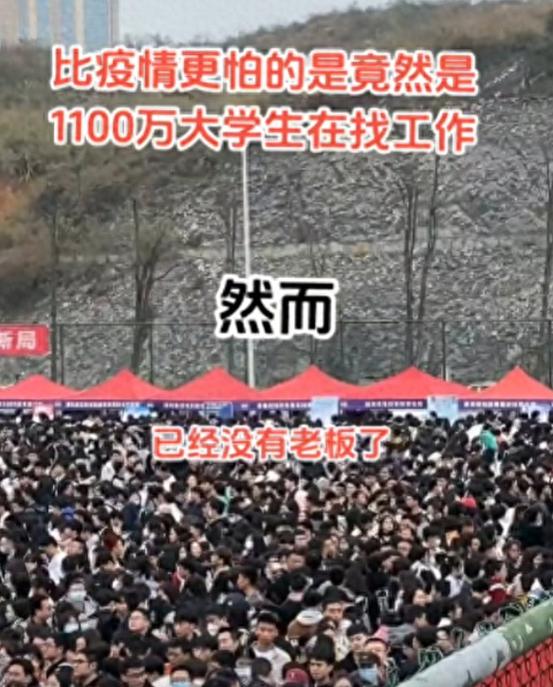 【疫情影响就业,疫情影响毕业生就业】-第8张图片 【疫情影响就业,疫情影响毕业生就业】-第8张图片