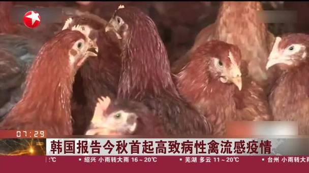 韩国疫情-韩国疫情再次爆发-第7张图片 韩国疫情-韩国疫情再次爆发-第7张图片