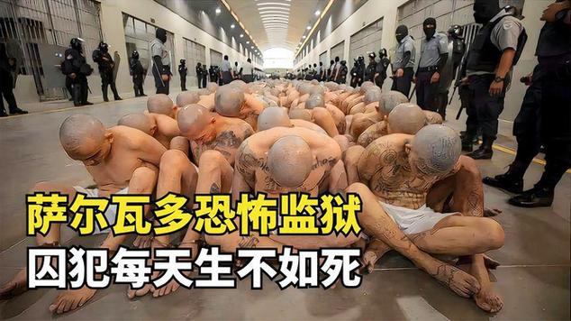 巴西监狱疫情(巴西监狱事件)