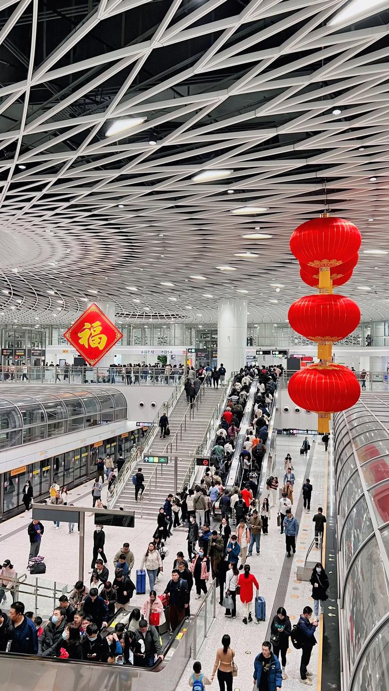 深圳疫情/深圳疫情最新通报发现新病毒-第3张图片 深圳疫情/深圳疫情最新通报发现新病毒-第3张图片