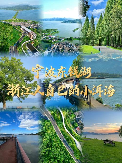 安徽宁波疫情(安徽疫情动态实时播报)-第3张图片 安徽宁波疫情(安徽疫情动态实时播报)-第3张图片