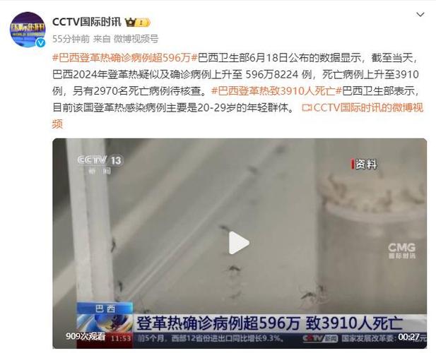巴西国家疫情/巴西国家疫情最新情况-第7张图片