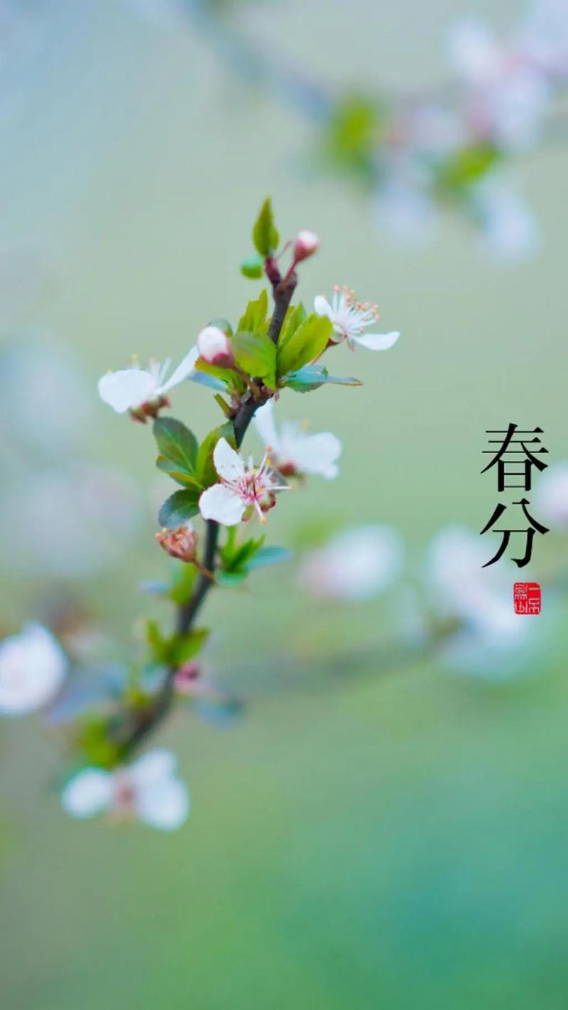 澳洲疫情解禁-澳洲疫情禁令-第4张图片 澳洲疫情解禁-澳洲疫情禁令-第4张图片