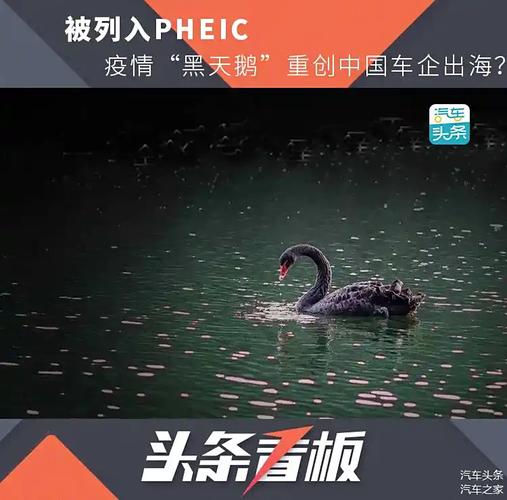 2018年肺炎疫情(2019年肺炎疫情)-第1张图片 2018年肺炎疫情(2019年肺炎疫情)-第1张图片